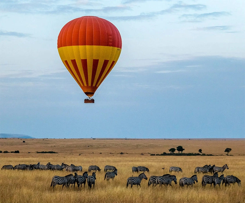 4 Days Masai Mara and Lake Nakuru Safari