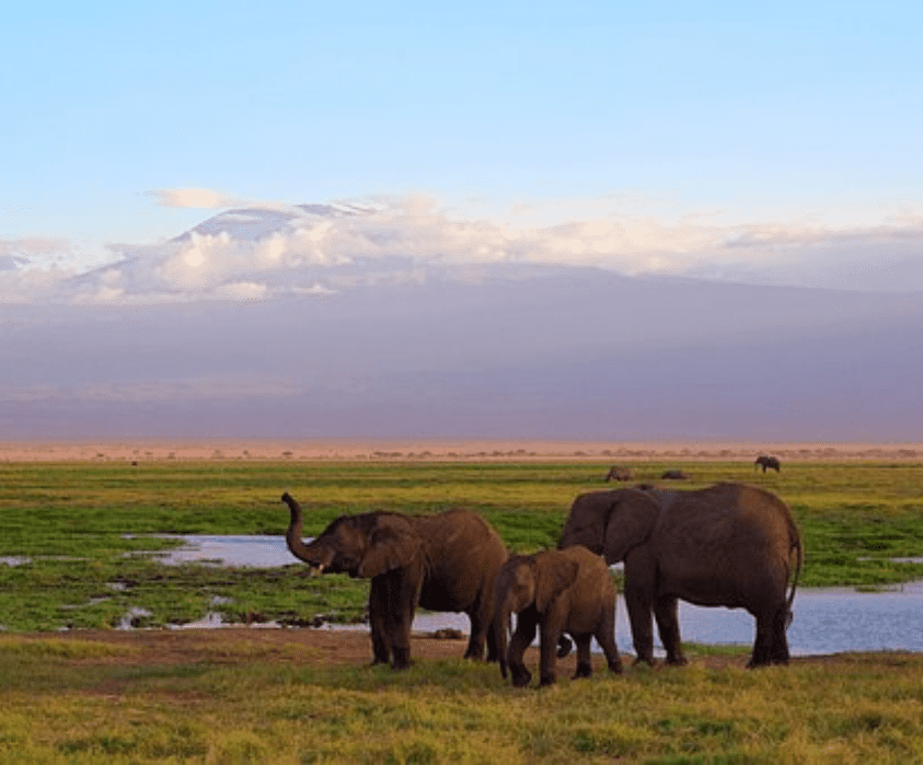 10 Days Safari + Coast – Wildlife & White Sands
