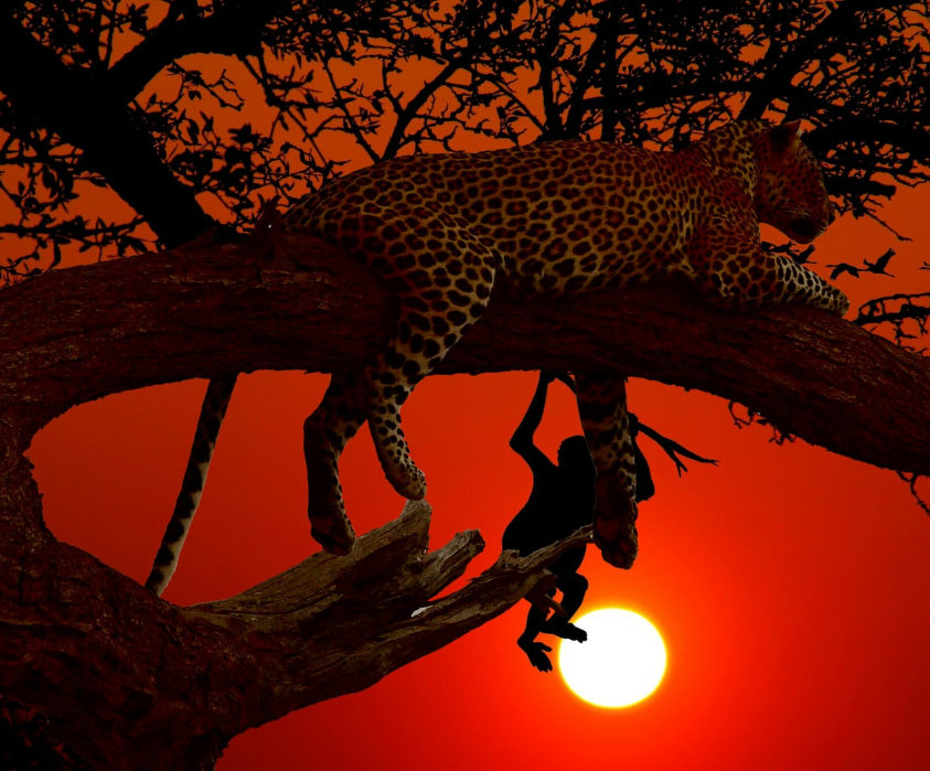 7 Days Aberdares, Samburu, Lake Nakuru and Masai Mara Safari