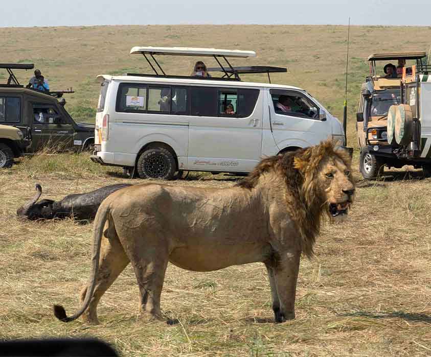 3 Days Maasai Mara Safari – Mara Magic Escape