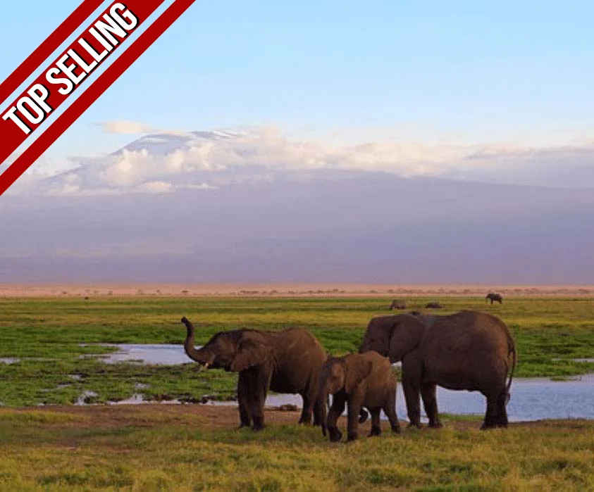 10 Days Safari + Coast – Wildlife & White Sands